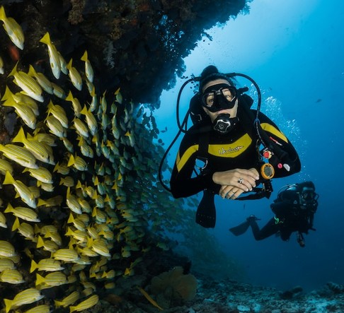 two scuba divers surrounded by fish